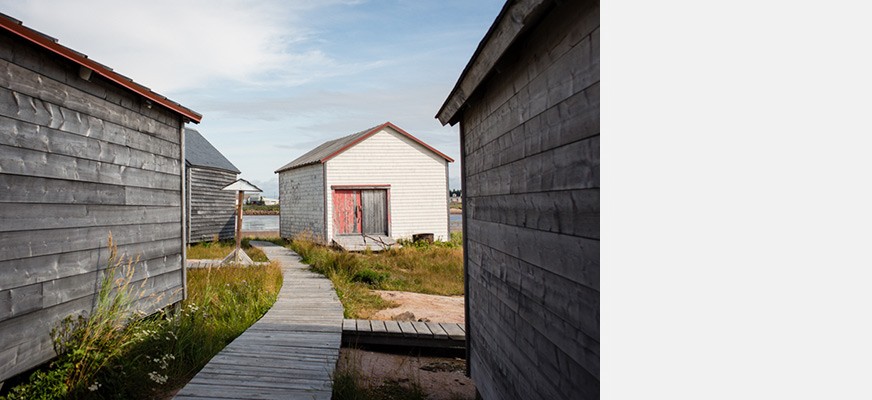 <strong>2016-08-15</strong>