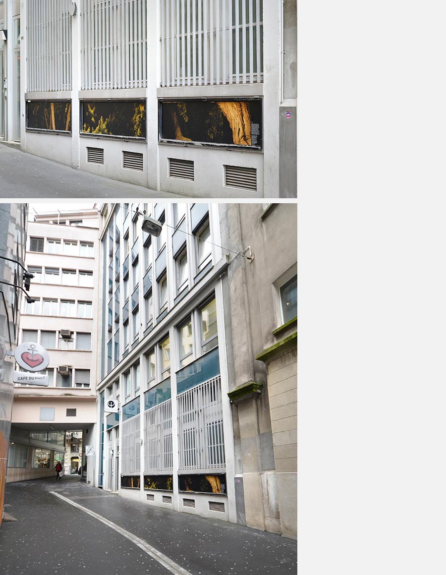 <strong>2017-05-03</strong>