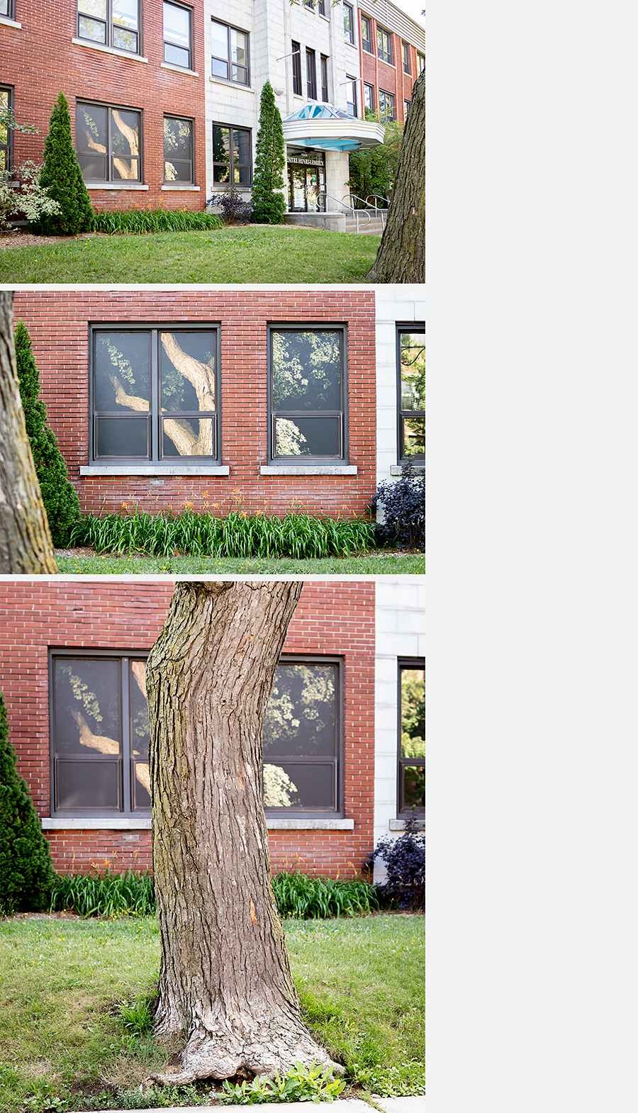 <strong>2020-08-10</strong>